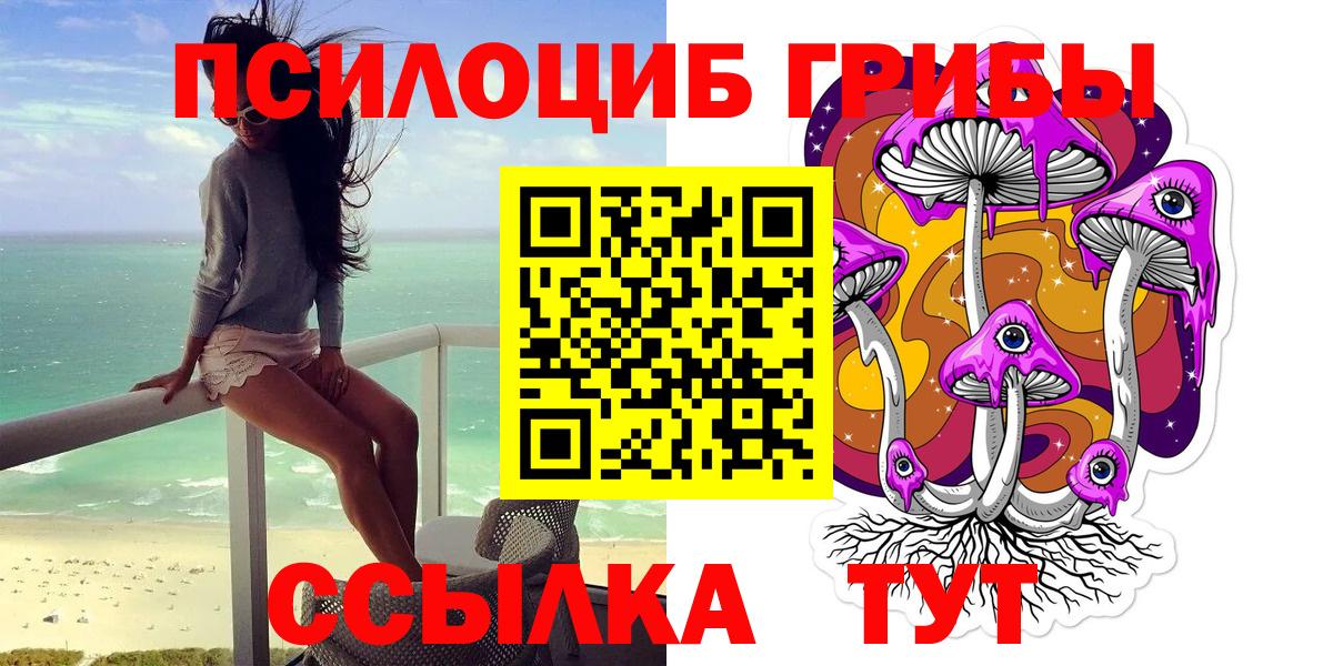 Псилоцибиновые грибы мицелий Алексин