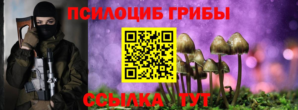 Галлюциногенные грибы Psilocybine cubensis  Вход с VPN  Галлюциногенные грибы мухоморы  Алексин 